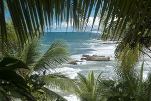 Vá conhecer a Costa do Cacau na Bahia