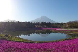 Inscrições abertas para JAPAN Best Incentive Travel Awards