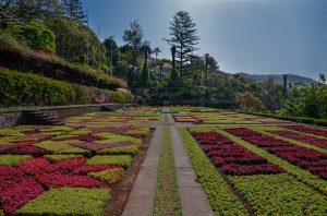 Ilha da Madeira e os belos jardins