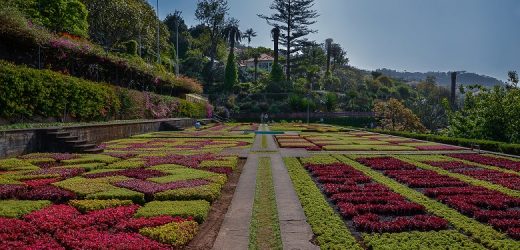 Ilha da Madeira e os belos jardins
