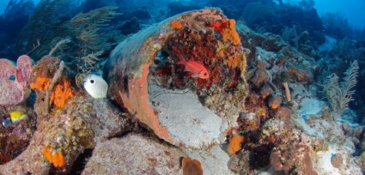 Curaçao melhor destino de mergulho no Caribe para 2021