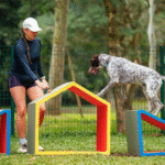 Festival Pet – 5 e 6 de julho no Parque Ibirapuera