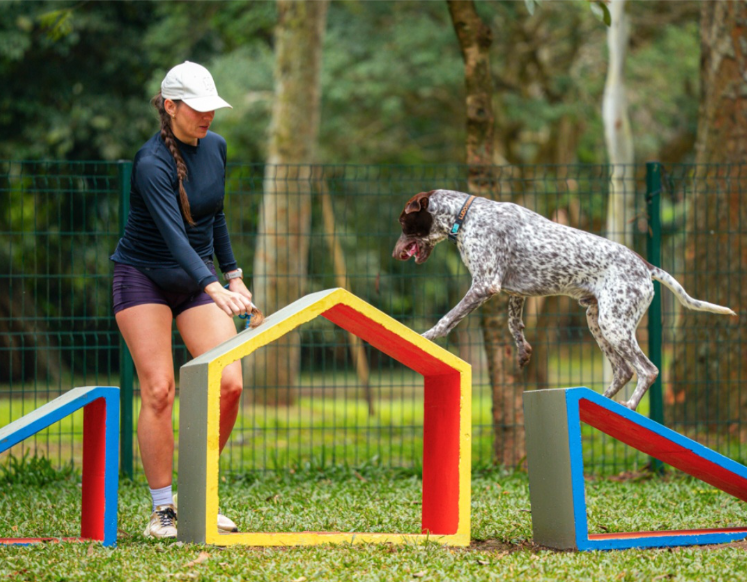 Festival Pet – 5 e 6 de julho no Parque Ibirapuera