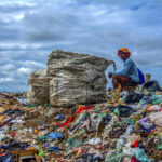 COP30 receberá exposição com fotografias sobre preservação ambiental no Brasil