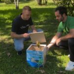 Parque Bondinho Pão de Açúcar® e Grupo Iter realizam soltura de ave silvestre em parceria com o Instituto Vida Livre