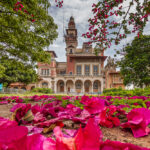 Destaques da Agenda Viva SP – Carnaval nos Museus e Fábricas de Cultura