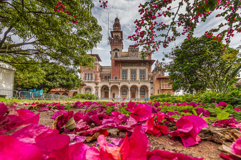 Destaques da Agenda Viva SP – Carnaval nos Museus e Fábricas de Cultura