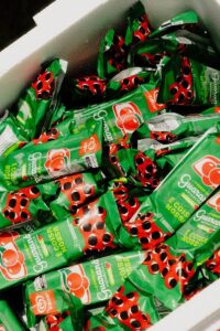 Carnaval 2026 : Em São Paulo onde encontrar distribuição gratuita de comidas e bebidas 