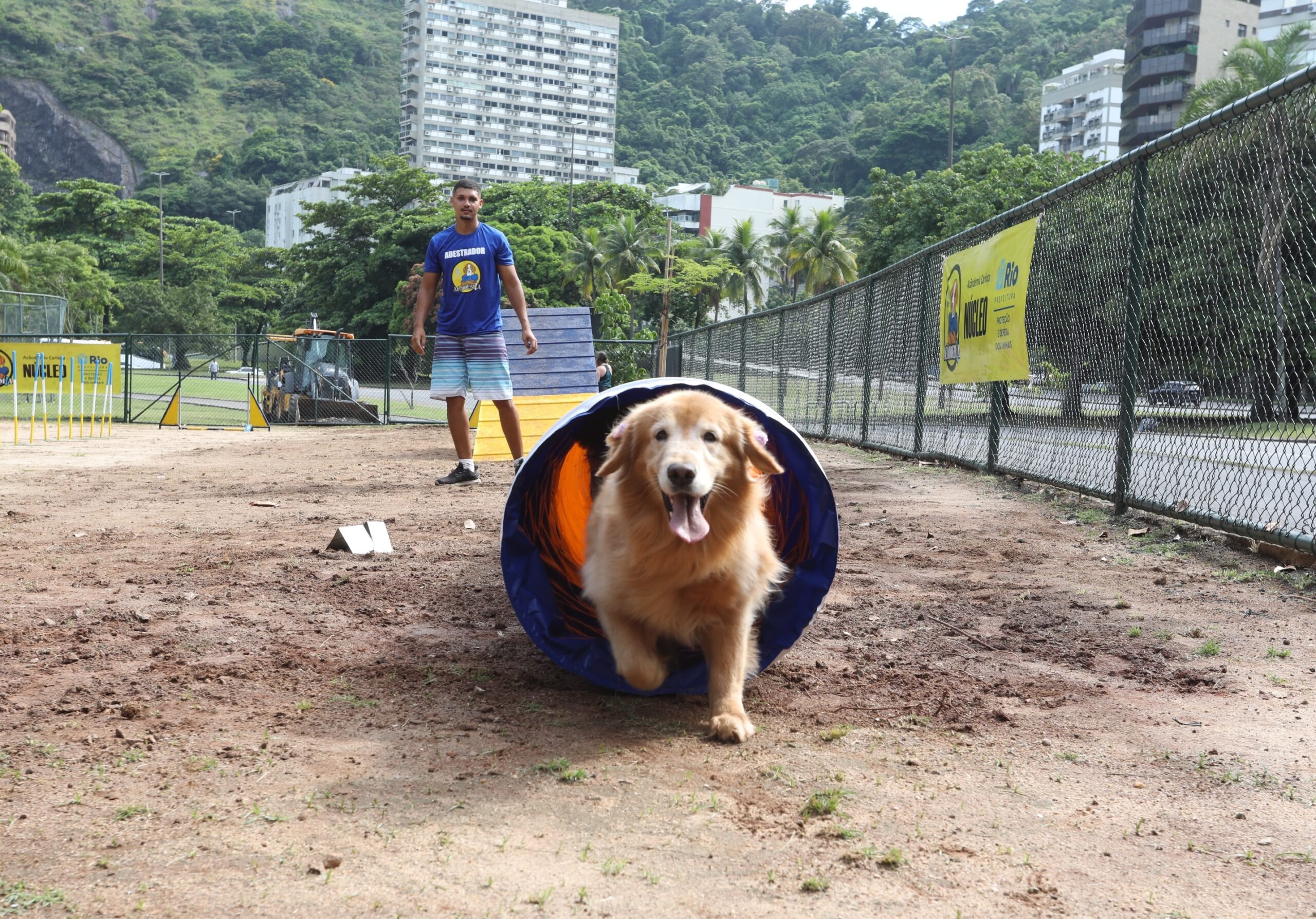 Almanaque Carioquice celebra as diversas atrações que unem diversão e bem-estar na cidade
