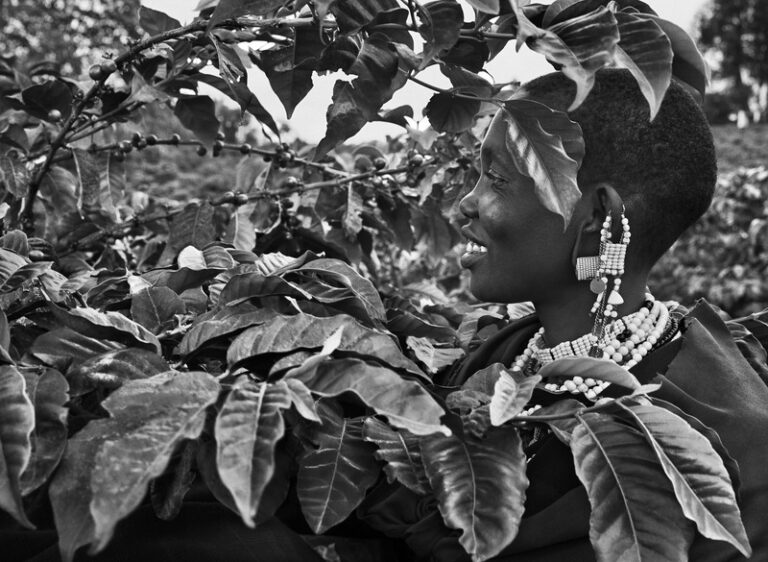 BYD patrocina primeira grande exposição póstuma de Sebastião Salgado